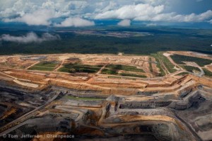 Adani Coal mine approval: Environmentalists fume, business happy