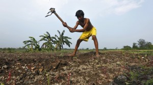 VIDEO: In rush for development, Indian farmers falling through the cracks
