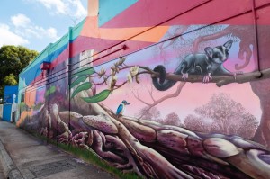 Art transforms popular street in Noble Park