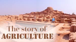 VIDEO INTERVIEW: How did agriculture begin in South Asia?