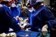University of Maryland’s successful pig-to-human-heart transplant