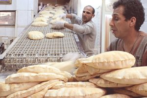 Egypt adds India for wheat imports