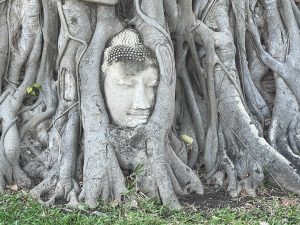 Historic City of Ayutthaya: Unparalleled splendour